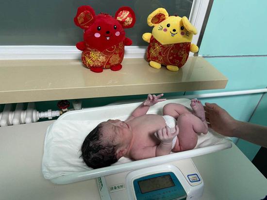 温州seo优化_北京妇产医院降生首个“鼠宝宝”(图)