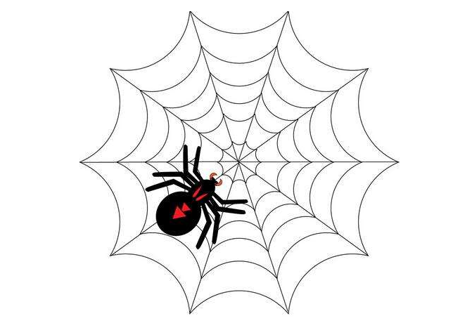 SEO中一般 常说的引蜘蛛是什么意思？