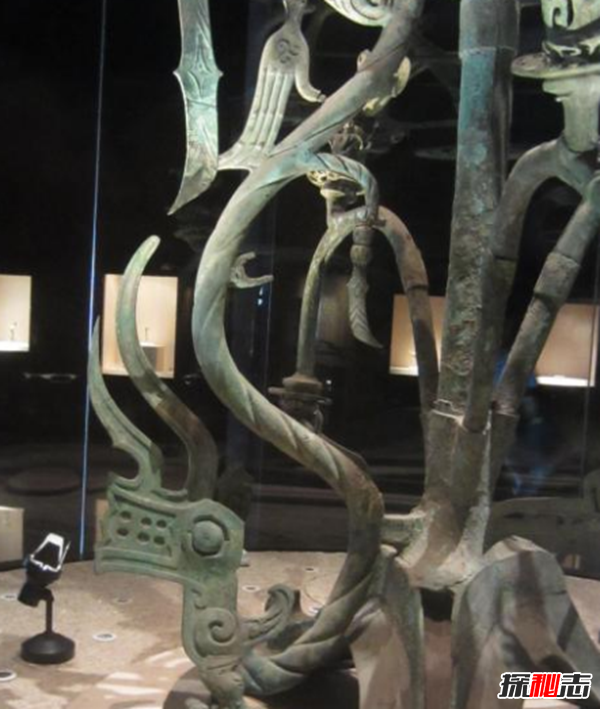 青铜神树的秘密揭秘：青铜神树为什么逆天?