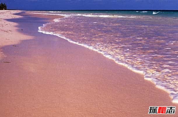 世界上十大最漂亮的海滩：粉红色海滩,你见过吗？