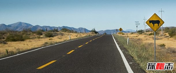 世界上最危险的十大公路,智利罗斯卡拉高莱斯路排名第一