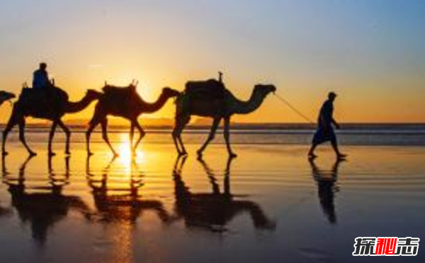 海岸线最长的10个非洲国家：埃及榜上有名(第五)