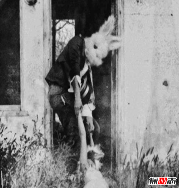 美国兔人杀人是真的吗?美国恐怖兔人图片曝光