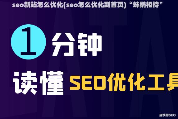 seo新站怎么优化(seo怎么优化到首页)“蚌鹬相持”